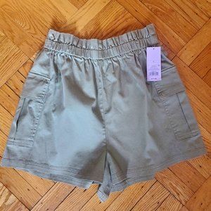 NWT women's Target/Wild Fable cargo shorts sz L